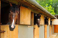 free Felin Puleston stable construction quotes